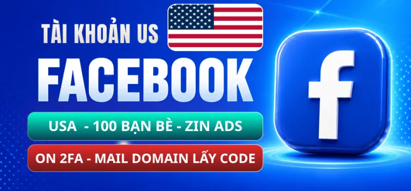 Facebook Account (USA) – 2FA – Domain Mail Verified with Code Access – 100 Friends – Untouched/Original for Ads